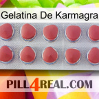 Karmagra Jelly 18